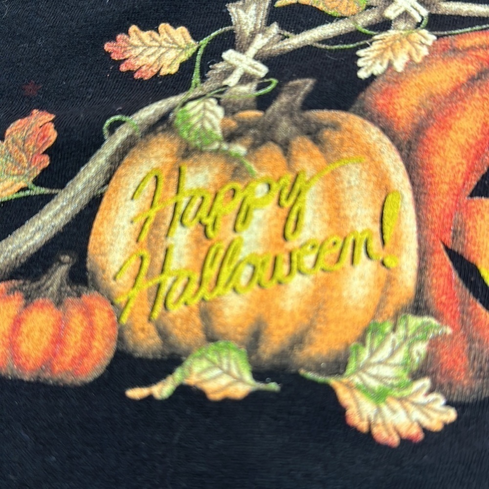 Graphic Happy Halloween/Pumpkins Shortsleeved Crew Neck Tee 3X (22-24) - Picture 4 of 4